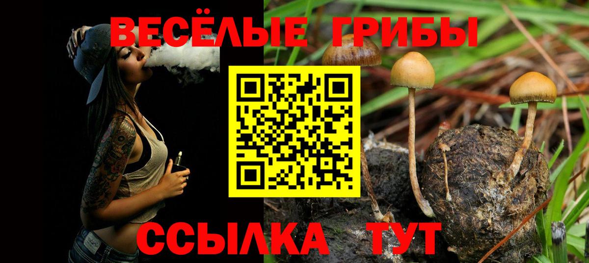Галлюциногенные грибы прущие грибы  Псилоцибиновые грибы мухоморы  Оренбург  Вход с VPN 
